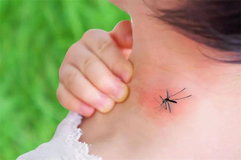 夏天寶寶被蚊蟲叮咬怎么辦？